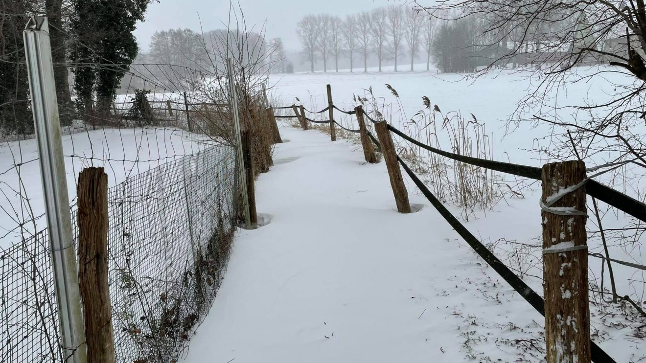 Weiße Pracht. Leserfoto von Sandro Bet aus Wallenhorst vom 7. Februar 2021