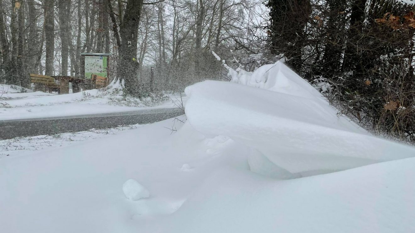 Weiße Pracht. Leserfoto von Sandro Bet aus Wallenhorst vom 7. Februar 2021