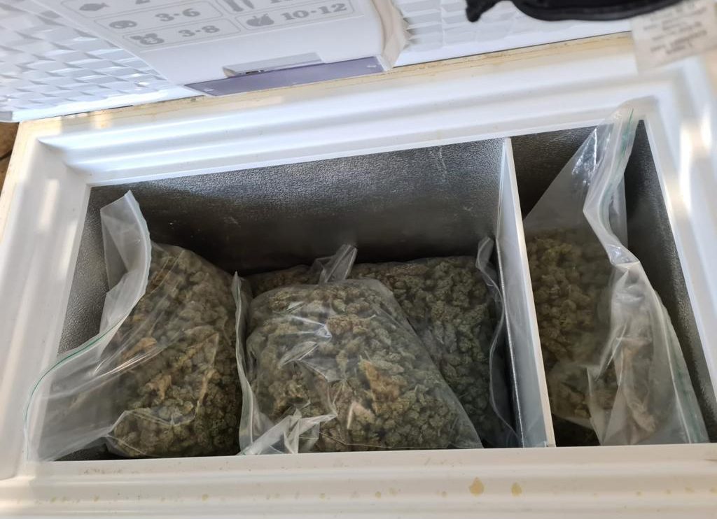 Sichergestelltes Marihuana. Foto: Polizeiinspektion Osnabrück