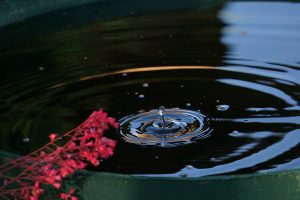 Starkregenereignisse, Dürreperioden, Nachhaltigkeit. Das sind die Schlagworte, die die CDW/W als Anlass sahen, den Bereich der Regenwassernutzung näher zu betrachten und einen Antrag im Ausschuss für Umwelt, Energie, Klimaschutz und digitale Entwicklung der Gemeinde Wallenhorst zur Förderung der Regenwassernutzung zu stellen. Symbolfoto: Werner Augustin Jukel / Pixabay