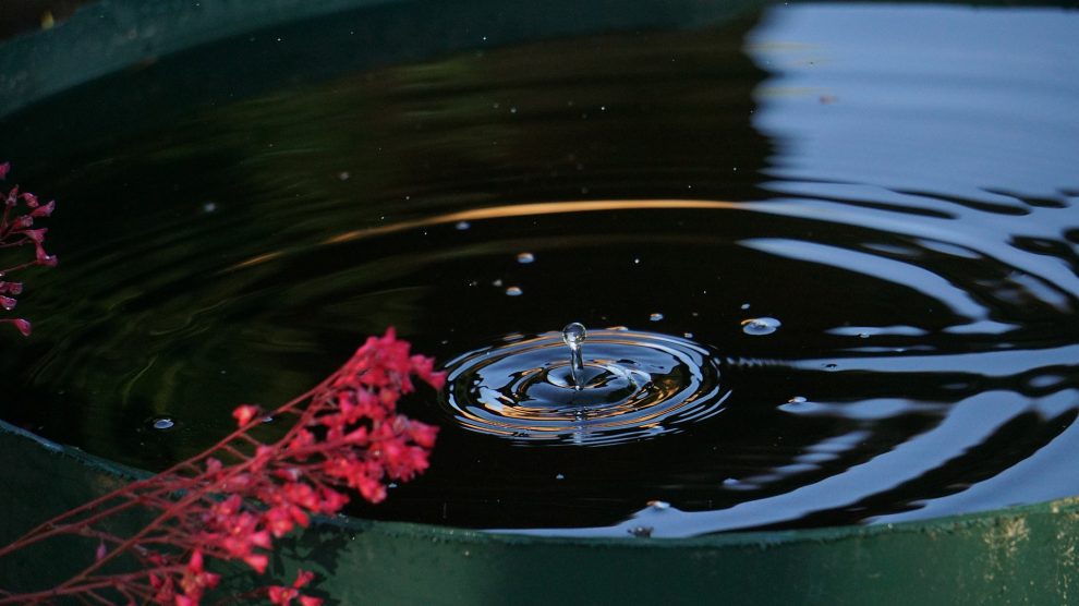 Starkregenereignisse, Dürreperioden, Nachhaltigkeit. Das sind die Schlagworte, die die CDW/W als Anlass sahen, den Bereich der Regenwassernutzung näher zu betrachten und einen Antrag im Ausschuss für Umwelt, Energie, Klimaschutz und digitale Entwicklung der Gemeinde Wallenhorst zur Förderung der Regenwassernutzung zu stellen. Symbolfoto: Werner Augustin Jukel / Pixabay