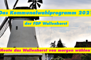 Das Programm der FDP Wallenhorst 2021. Design: FDP Wallenhorst
