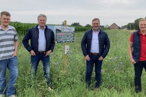 Engagieren sich für den Erhalt der Artenvielfalt: (v.l.) Landwirt Christian Trame sowie die SPD-Ratsherren Hubert Pohlmann, Guido Pott und Martin Lange. Foto: Hendrik Remme / SPD Wallenhorst