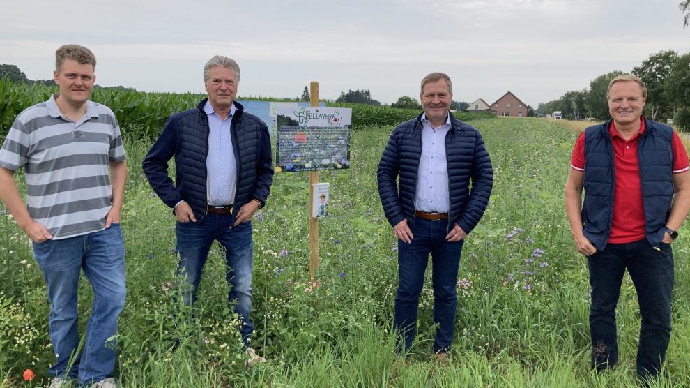 Engagieren sich für den Erhalt der Artenvielfalt: (v.l.) Landwirt Christian Trame sowie die SPD-Ratsherren Hubert Pohlmann, Guido Pott und Martin Lange. Foto: Hendrik Remme / SPD Wallenhorst