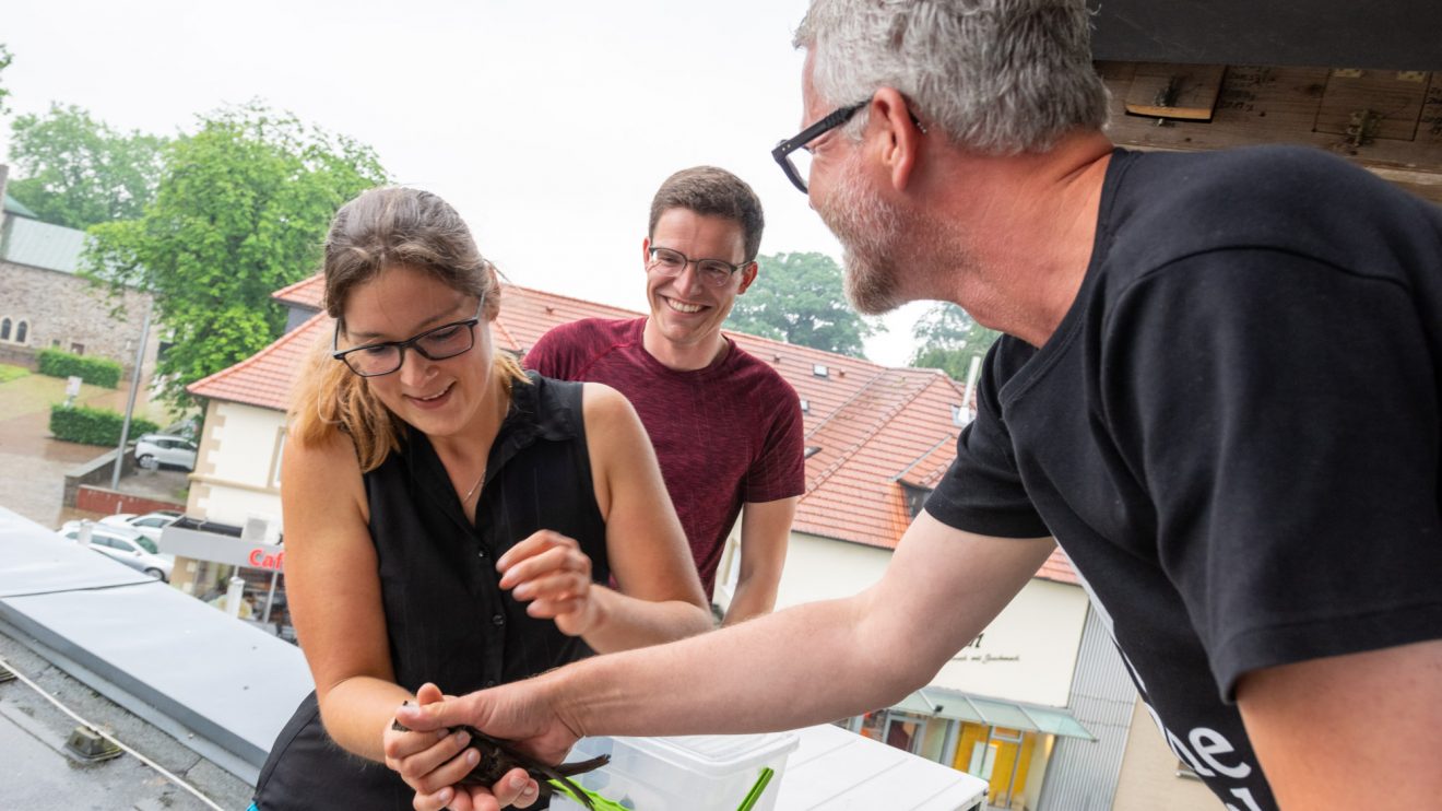 Isabella Draber, Mirko Kandolf und Axel Degen (von links) freuen sich über den Mauersegler-Nachwuchs. Foto: André Thöle / Gemeinde Wallenhorst