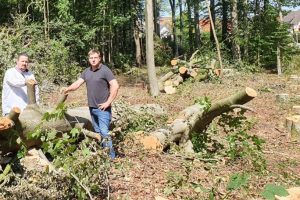 Patrick Bäune und Dominik Küttner zwischen gefällten Bäumen in Rulle. Foto: CDU-Gemeindeverband