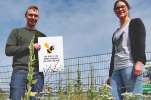 Eine blühende Wiese als Nahrung und Schutz für Wildtiere. Felix Sauer (Stavermann GmbH) und die Wallenhorster Umweltbeauftragte Isabella Draber sind mit dem Ergebnis der Aussaat zufrieden. Foto: Gemeinde Wallenhorst