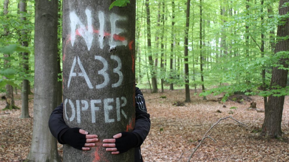 Die Grünen in Wallenhorst laden zur Exkursion in das FFH Natur-Schutzgebiet Wiehengebirge („Ruller Bruch“) ein. Foto: Lilian-Ruth Sasse