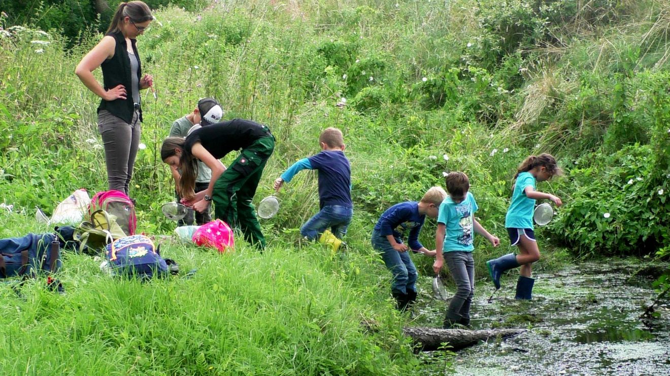 Ferienspaßaktion „Den Wassertieren auf der Spur“. Foto: Gemeinde Wallenhorst
