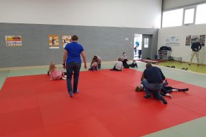 Die Hollager Judo-Abteilung startet mit einer Re-Start-Veranstaltung in die Normalität. Foto: Judo-Abteilung Blau-Weiss Hollage