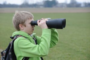 Unter dem Titel „Junge Forscher gesucht“ wird das Ziel verfolgt, die Motivation und Neugierde sowie Offenheit gegenüber MINT in unserem Alltag während der Grundschulzeit zu erhalten und weiterzuentwickeln. Symbolfoto: Frank Wittkowski / Pixabay