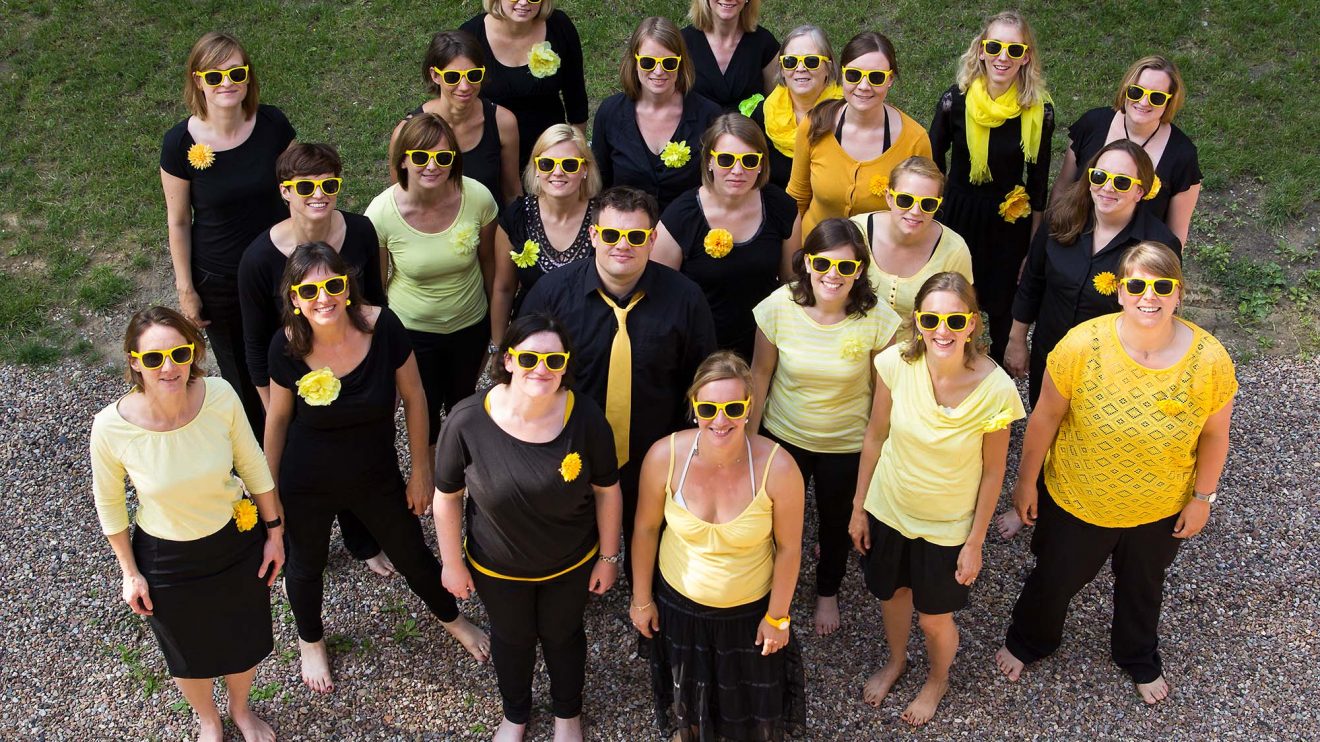 Chor Yellow unter Leitung von Christian Mews. Foto: Friedemann Jung