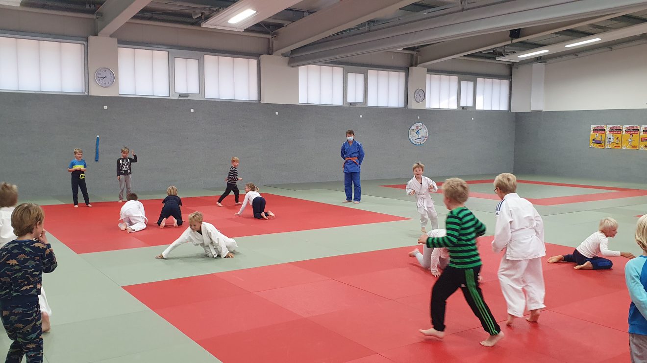 Eindrücke von den ersten Trainings der Anfängerkurse. Foto: Blau Weiss Hollage