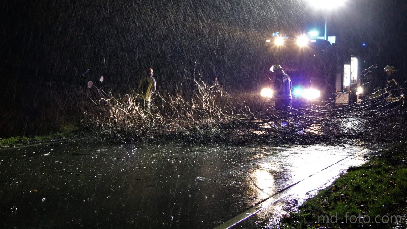 Ein Baum ist auf den Fürstenauer Weg in Hollage gestürzt und hat dabei einen Smart gestreift. Foto: Marc Dallmöller / md-foto.com