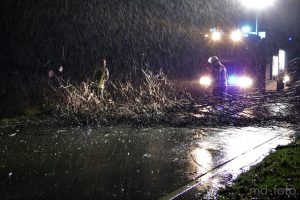 Ein Baum ist auf den Fürstenauer Weg in Hollage gestürzt und hat dabei einen Smart gestreift. Foto: Marc Dallmöller / md-foto.com