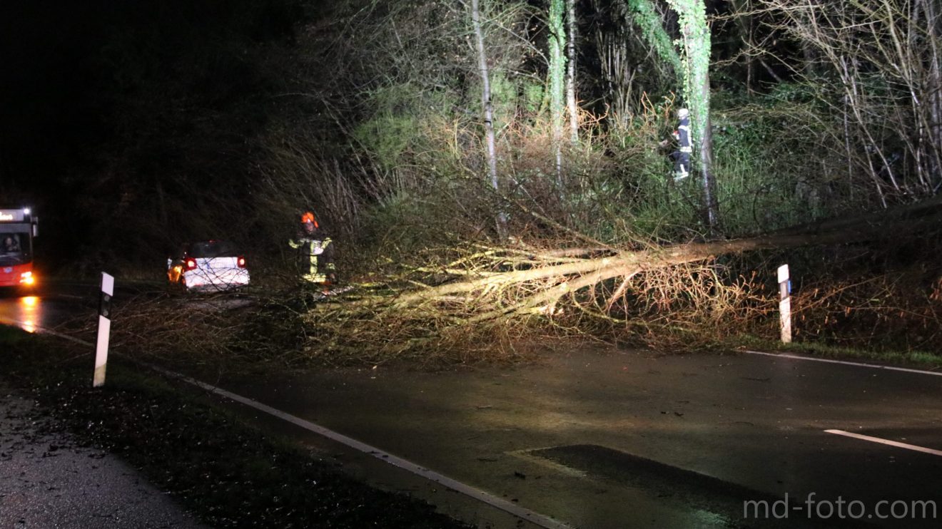 Ein Baum ist auf den Fürstenauer Weg in Hollage gestürzt und hat dabei einen Smart gestreift. Foto: Marc Dallmöller / md-foto.com