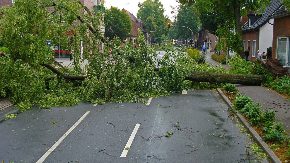 Es wird sehr stürmisch in der Region Osnabrück. Dabei muss mit entwurzelten Bäumen auf Straßen gerechnet werden. Symbolfoto: Jan Mallander / Pixabay