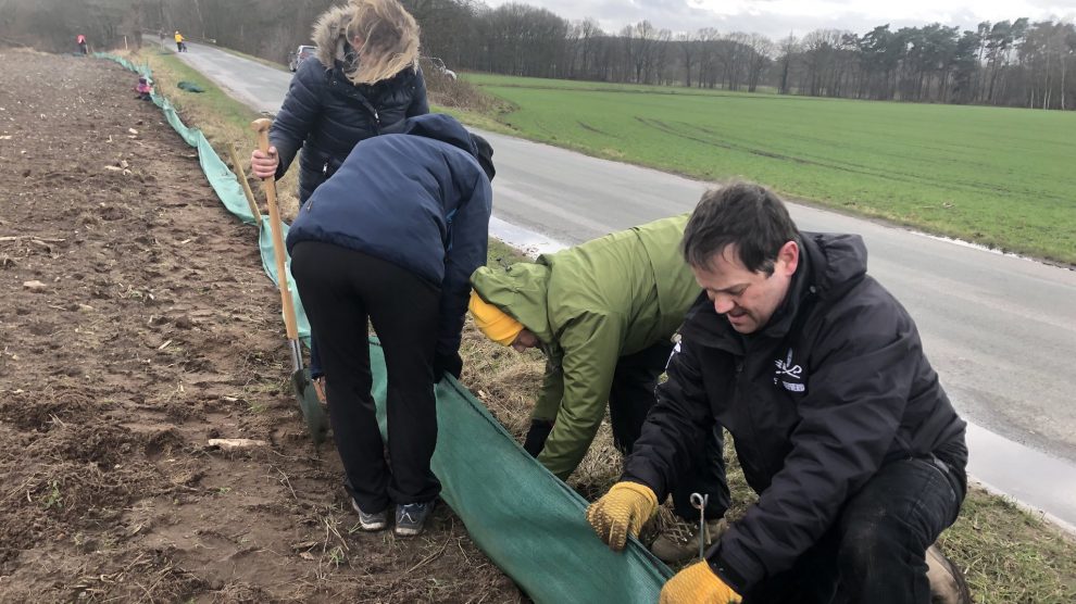 An zwei Stellen in der Gemeinde Wallenhorst hat der BUND mit dem Material der Gemeinde und der Unterstützung durch die Grünen Ortsverbandmitglieder einen Krötenzaun aufgestellt. Foto: Klara Essomba