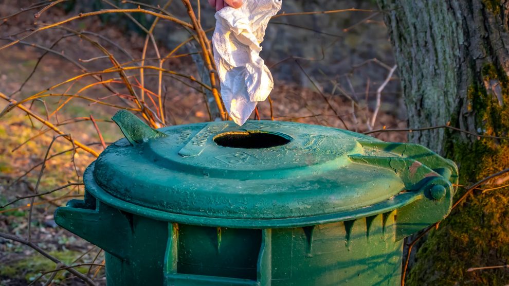 „Wilden Müll“ sollte man überall vermeiden, auch in Wallenhorst. Symbolfoto: analogicus / Pixabay