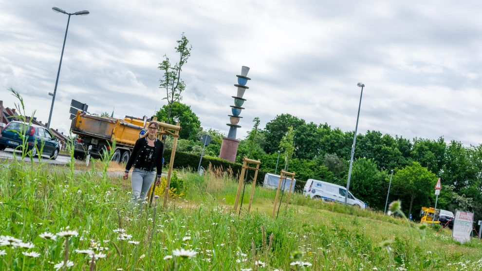 Isabella Markfort neben dem neu angepflanzten Ginster. Foto: André Thöle / Gemeinde Wallenhorst