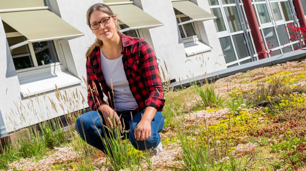 Wallenhorsts Umweltbeauftragte Isabella Markfort informiert gern über Fördermöglichkeiten zu Dachbegrünungen sowie dem Einbau von Zisternen und Rigolen. Foto: André Thöle / Gemeinde Wallenhorst