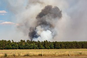 Der Landkreis Osnabrück beschränkt die Wasserentnahmen aus Fließgewässern und warnt vor einer hohen Waldbrandgefahr. Symbolfoto: Sven Lachmann / Pixabay