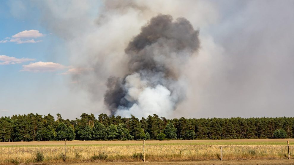 Der Landkreis Osnabrück beschränkt die Wasserentnahmen aus Fließgewässern und warnt vor einer hohen Waldbrandgefahr. Symbolfoto: Sven Lachmann / Pixabay