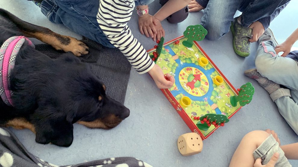 In der hundegestützten Therapie können sowohl sozial-emotionale Schwerpunkte, als auch motorische, kognitive und taktile Förderung oder auch Struktur- und Regelverhalten ein Thema sein. Amy unterstützt hier im Kindergarten. Foto: Daniela Kray