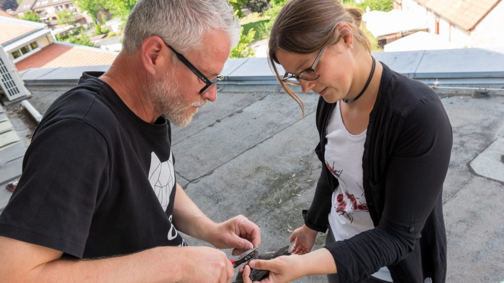 Axel Degen und Isabella Markfort beringen einen Mauersegler. Foto: André Thöle / Gemeinde Wallenhorstv