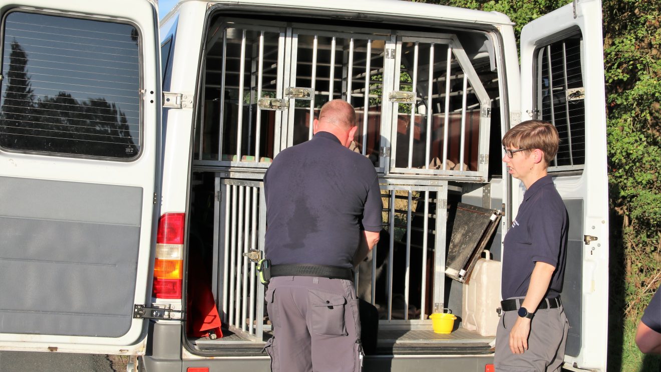 „Feuer nach Explosion in der Hollager Mühle, verletzte und vermisste Personen“ lautete das Einsatzstichwort der gemeinsamen Übung von Feuerwehr, DRK und Rettungshundestaffel am Dienstagabend. Foto: Marc Dallmöller / md-foto.com