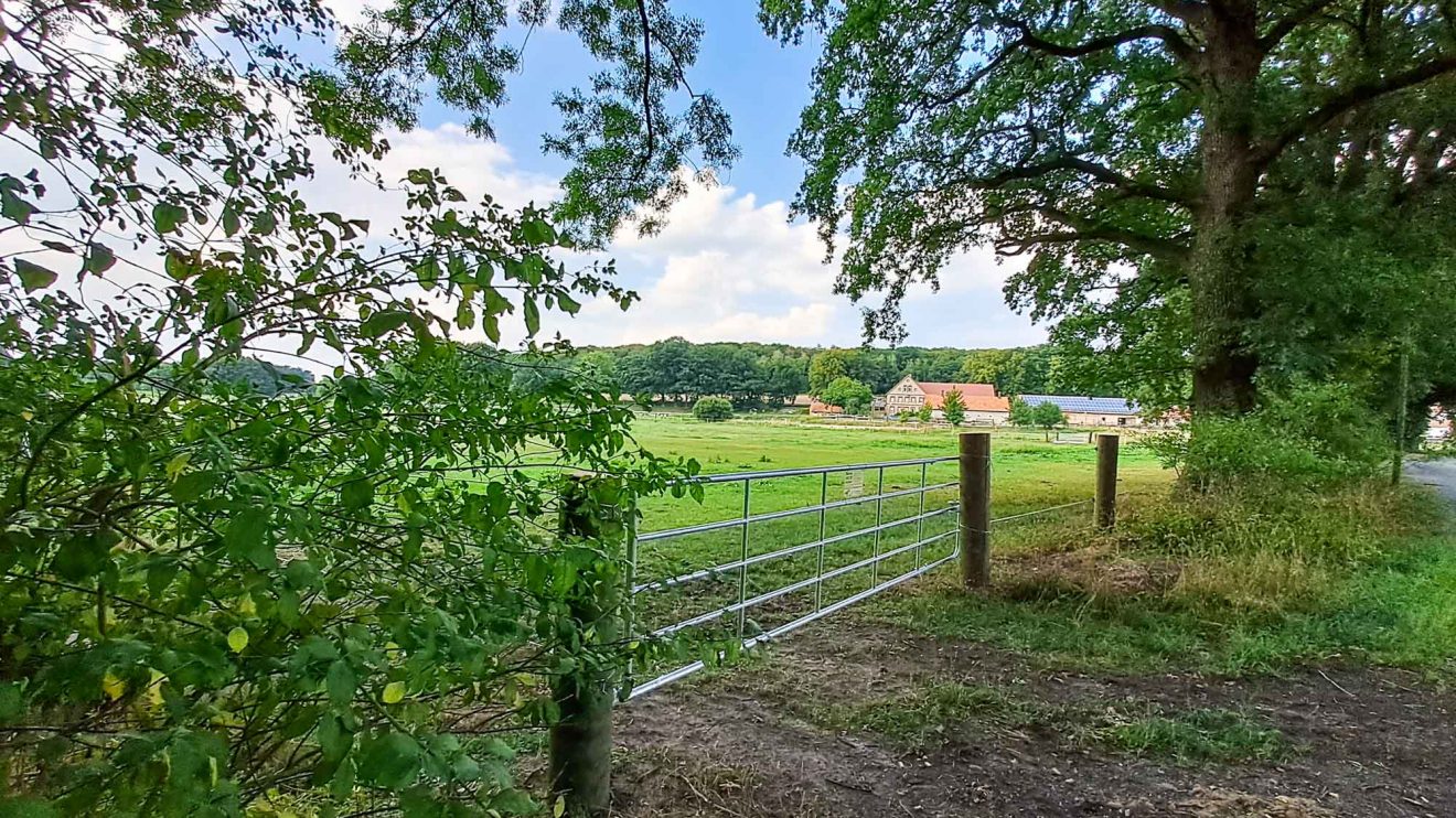 Blick auf die gegenüberliegende Pferdekoppel. Foto: André Thöle