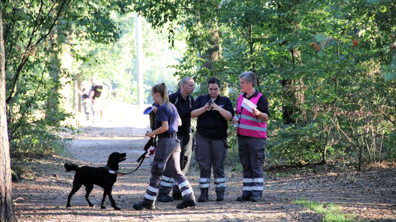 „Feuer nach Explosion in der Hollager Mühle, verletzte und vermisste Personen“ lautete das Einsatzstichwort der gemeinsamen Übung von Feuerwehr, DRK und Rettungshundestaffel am Dienstagabend. Foto: Marc Dallmöller / md-foto.com