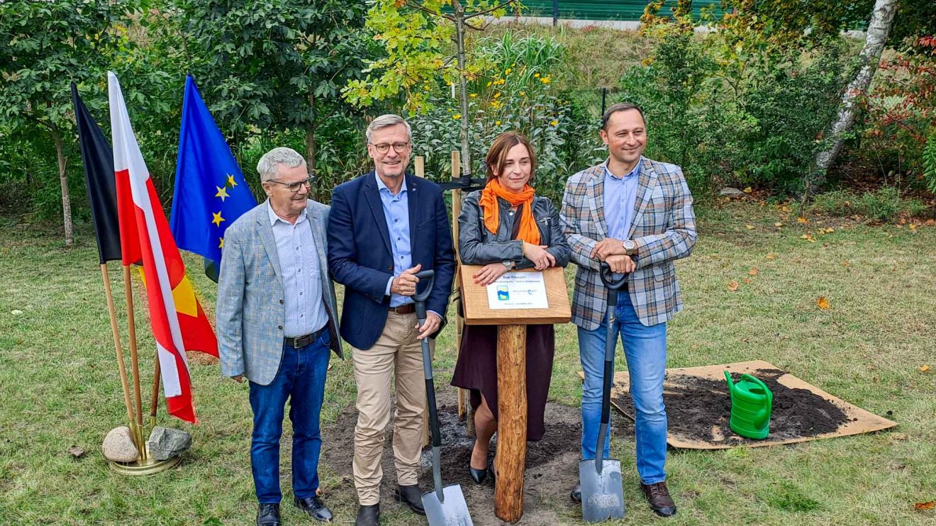 Pflanzen gemeinsam einen Baum an der Schule in Stawiguda (von links): Jerzy Raczyk (Gemeinde Stawiguda), Wallenhorsts Bürgermeister Otto Steinkamp, Schuldirektorin Anna Stokłos und Artur Bal (Gemeinde Stawiguda). Foto: André Thöle / Gemeinde Wallenhorst