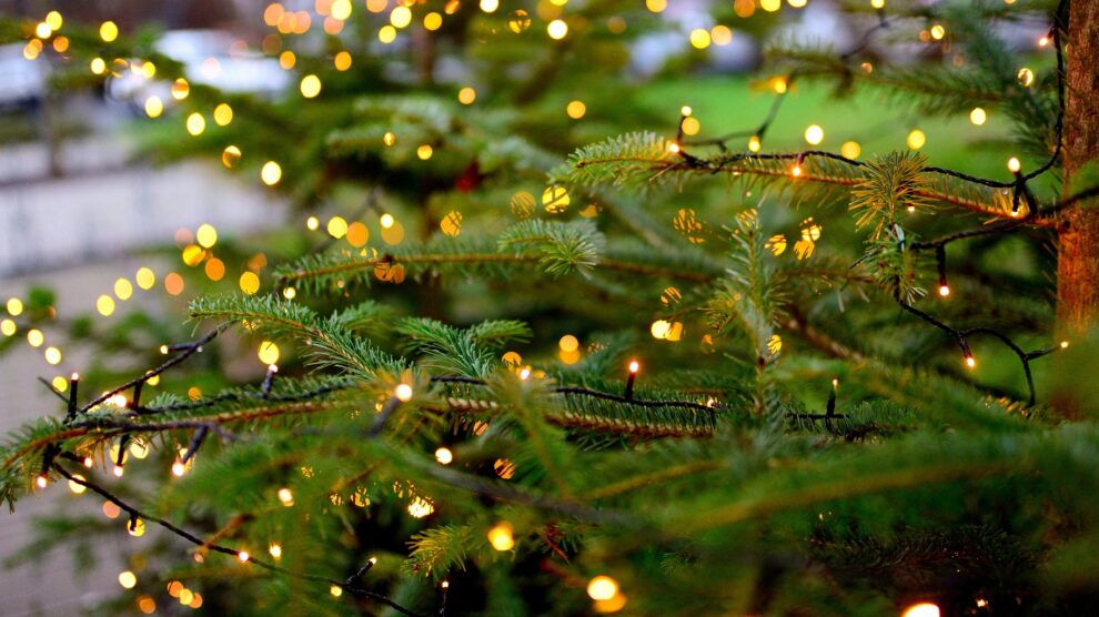 Die Weihnachtsvorbereitungen in Wallenhorst steigen: Der jährliche Tannenbaumverkauf durch Wapfis und Messdiener findet statt. Symbolfoto: congerdesign / pixabay