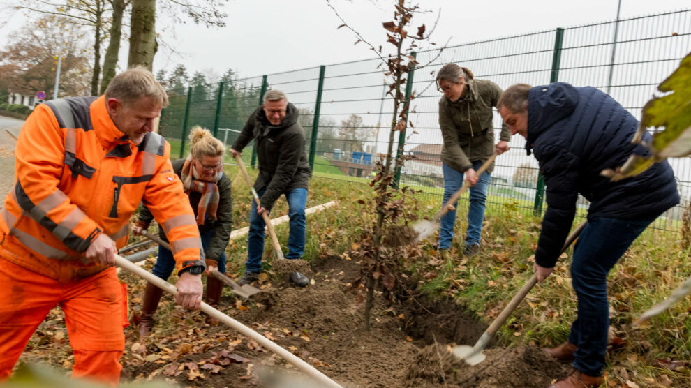 Mit tatkräftiger Unterstützung von Bauhofmitarbeiter Peter Kruse pflanzen Ellen Akkermann, Bürgermeister Otto Steinkamp, Isabella Markfort und Guido Pott (von links) eine Rotbuche gegenüber der Wittekindhalle. Foto: André Thöle / Gemeinde Wallenhorst