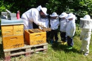 Erzieherin Nicole Gutendorf erklärte Vorschulkindern aus der Andreas Kindertagesstätte in Hollage-Ost, wie sie mit Honigbienen arbeitet. Foto: Astrid Luczak