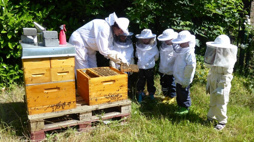 Erzieherin Nicole Gutendorf erklärte Vorschulkindern aus der Andreas Kindertagesstätte in Hollage-Ost, wie sie mit Honigbienen arbeitet. Foto: Astrid Luczak