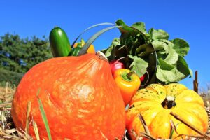 Ein Erntedankgottesdienst findet am Sonntag, 8. Oktober um 11.00 Uhr auf dem Waldhof in Lechtingen statt. Symbolfoto: NoName_13 / Pixabay