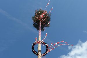 Ein Maibaum. Symbolfoto: Alois Grundner / Pixabay