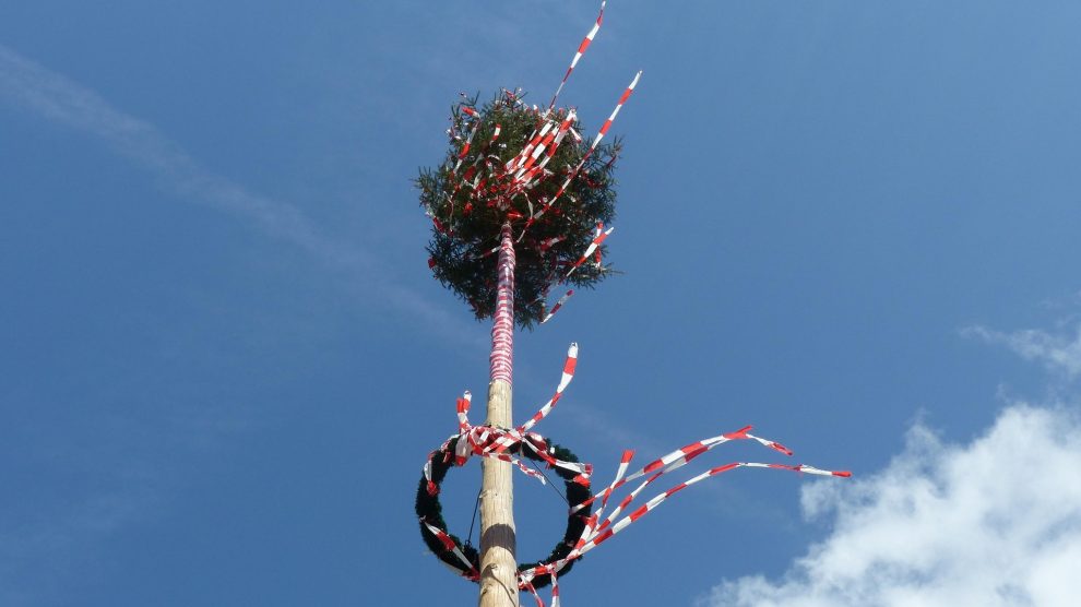 Ein Maibaum. Symbolfoto: Alois Grundner / Pixabay