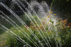 Verantwortungsbewusster Umgang mit Trinkwasser. Symbolfoto: Peggy Choucair / Pixabay