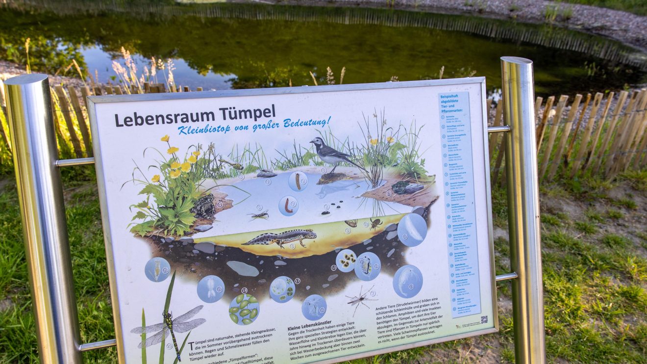 Naturerlebnisraum an der Hofstelle Duling in Wallenhorst. Foto: Gemeinde Wallenhorst / André Thöle