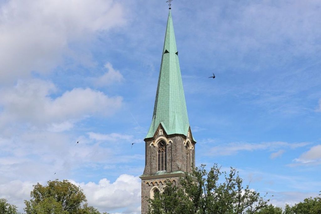 Dieses Jahr wurden insgesamt 18 Jungvögel in Wallenhorst beringt. Foto: Gemeinde Wallenhorst