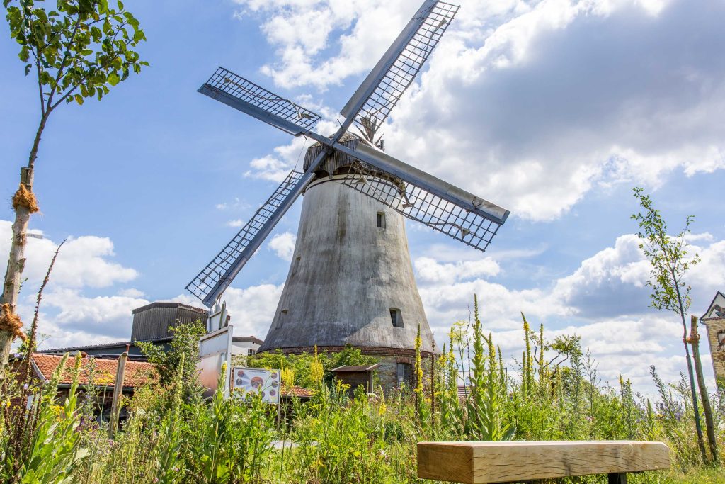 Die Windmühle Lechtingen soll in den kommenden Monaten weiter instand gesetzt sowie neu gestrichen werden. Foto: Gemeinde Wallenhorst