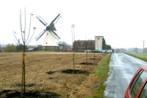 Wie hier an der Lechtinger Mühle wurden 2001 viele Bäume gepflanzt. Archivfoto: Gemeinde Wallenhorst