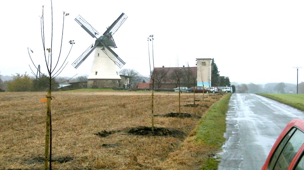 Wie hier an der Lechtinger Mühle wurden 2001 viele Bäume gepflanzt. Archivfoto: Gemeinde Wallenhorst