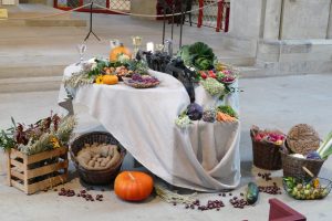 Festlich geschmückt sind die Kirchen und Feiern zum Erntedank, hier ein Bild aus der St.-Marien-Kirche aus einem vorherigen Jahr. Foto: Hermann Tobergte