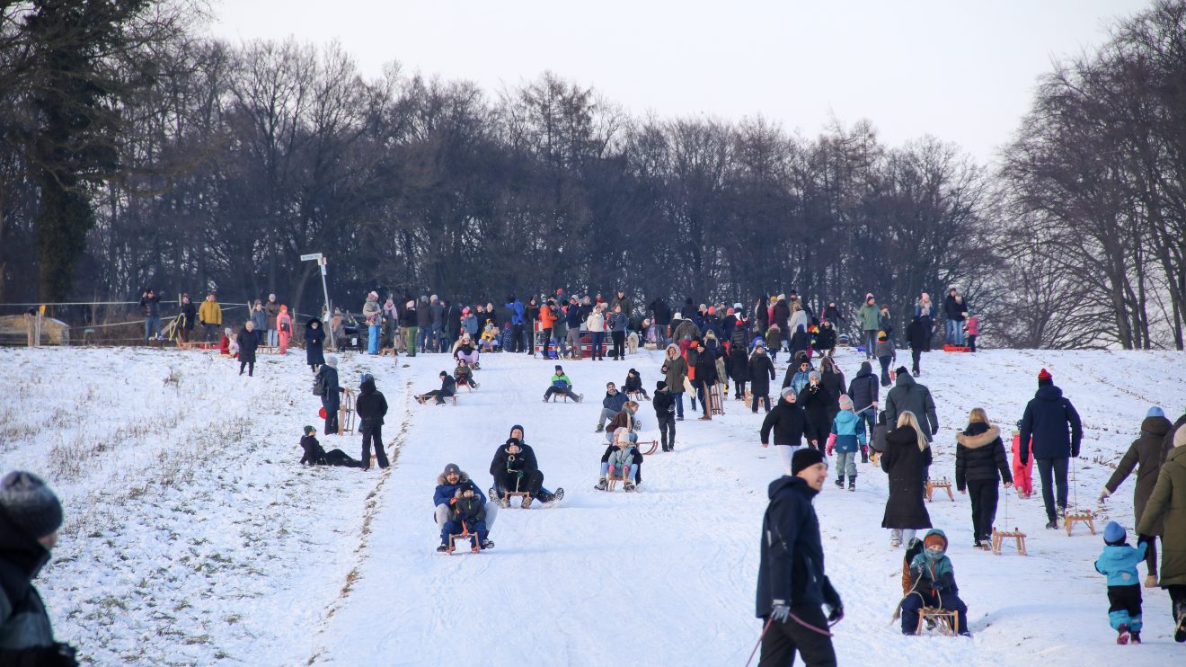 Großer Andrang herrschte am Wochenende auf der Rodelstrecke am Hollager Berg. Marc Dallmöller / md-foto.com